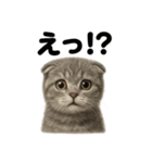 優しいマンチカン猫の日常会話LINEスタンプ（個別スタンプ：7）
