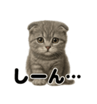 優しいマンチカン猫の日常会話LINEスタンプ（個別スタンプ：8）