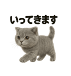 優しいマンチカン猫の日常会話LINEスタンプ（個別スタンプ：12）