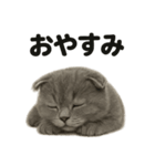 優しいマンチカン猫の日常会話LINEスタンプ（個別スタンプ：14）