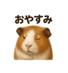 優しいモルモットの日常で使えるLINE（個別スタンプ：14）