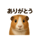 優しいモルモットの日常で使えるLINE（個別スタンプ：15）