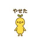 はっぱひよこスタンプ（個別スタンプ：12）