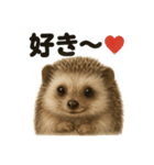 優しいハリネズミの日常で使えるLINE（個別スタンプ：4）