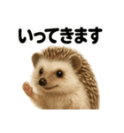 優しいハリネズミの日常で使えるLINE（個別スタンプ：11）