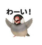 優しい文鳥の日常で使えるLINEスタンプ（個別スタンプ：6）