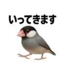 優しい文鳥の日常で使えるLINEスタンプ（個別スタンプ：12）