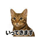 優しいベンガル猫の日常で使えるLINE（個別スタンプ：12）