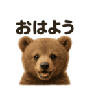 優しいヒグマの日常で使えるLINEスタンプ（個別スタンプ：2）