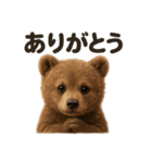 優しいヒグマの日常で使えるLINEスタンプ（個別スタンプ：3）