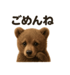 優しいヒグマの日常で使えるLINEスタンプ（個別スタンプ：4）