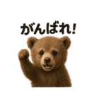 優しいヒグマの日常で使えるLINEスタンプ（個別スタンプ：5）