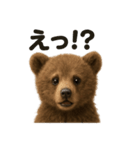 優しいヒグマの日常で使えるLINEスタンプ（個別スタンプ：7）
