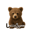 優しいヒグマの日常で使えるLINEスタンプ（個別スタンプ：8）