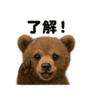 優しいヒグマの日常で使えるLINEスタンプ（個別スタンプ：9）