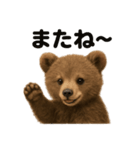 優しいヒグマの日常で使えるLINEスタンプ（個別スタンプ：10）