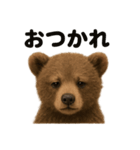 優しいヒグマの日常で使えるLINEスタンプ（個別スタンプ：11）