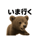 優しいヒグマの日常で使えるLINEスタンプ（個別スタンプ：13）