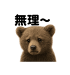 優しいヒグマの日常で使えるLINEスタンプ（個別スタンプ：14）