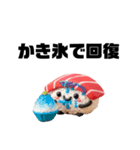 毎日使える♡ぷに寿司の夏のご挨拶（個別スタンプ：3）