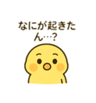 ヒヨコのきもちスタンプ（個別スタンプ：11）