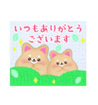 毎年使える♥柴犬/豆柴の年末年始お正月13（個別スタンプ：18）