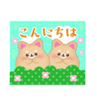 毎年使える♥柴犬/豆柴の年末年始お正月13（個別スタンプ：30）