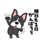 ボステリアのボス君6（個別スタンプ：6）