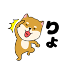 柴犬のふぅちゃん13（個別スタンプ：1）