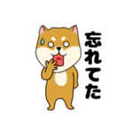 柴犬のふぅちゃん13（個別スタンプ：8）