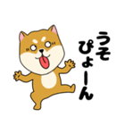 柴犬のふぅちゃん13（個別スタンプ：13）