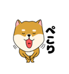 柴犬のふぅちゃん13（個別スタンプ：15）
