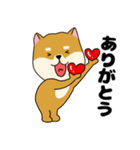 柴犬のふぅちゃん13（個別スタンプ：16）