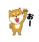 柴犬のふぅちゃん13（個別スタンプ：19）
