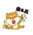 柴犬のふぅちゃん13（個別スタンプ：20）