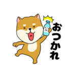 柴犬のふぅちゃん13（個別スタンプ：21）