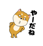 柴犬のふぅちゃん13（個別スタンプ：24）