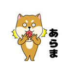 柴犬のふぅちゃん13（個別スタンプ：26）