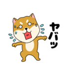 柴犬のふぅちゃん13（個別スタンプ：28）