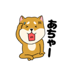 柴犬のふぅちゃん13（個別スタンプ：29）