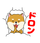 柴犬のふぅちゃん13（個別スタンプ：37）