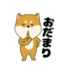 柴犬のふぅちゃん13（個別スタンプ：38）