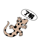 【吹き出し】ヤモリちゃん（個別スタンプ：4）