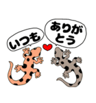 【吹き出し】ヤモリちゃん（個別スタンプ：18）