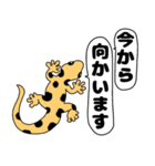 【吹き出し】ヤモリちゃん（個別スタンプ：30）