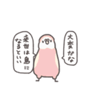 鳥さんに任しとけ（個別スタンプ：3）