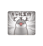 鳥さんに任しとけ（個別スタンプ：13）