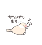 鳥さんに任しとけ（個別スタンプ：21）