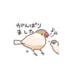 鳥さんに任しとけ（個別スタンプ：22）