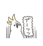 鳥さんに任しとけ（個別スタンプ：26）